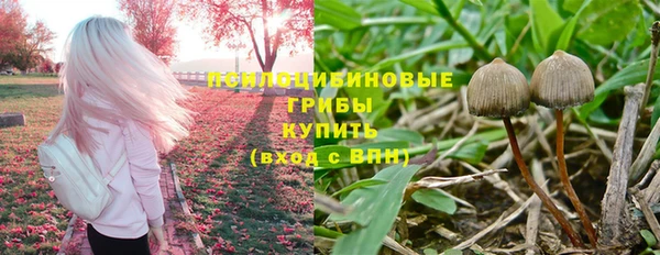 ECSTASY Володарск