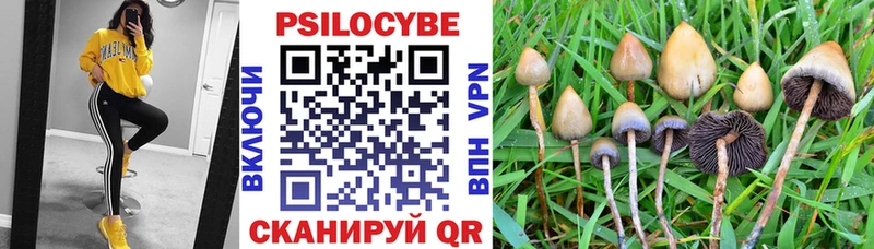 Галлюциногенные грибы MAGIC MUSHROOMS  Купить  Любим 